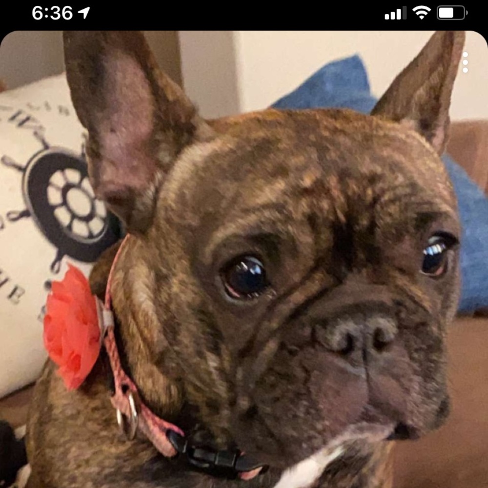 Meet your Posher, Loralee